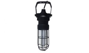 Explosion Proof LED Drop Light - 360 Beam Angle - 30W