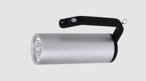 Explosion proof LED Torch Light FL-7101