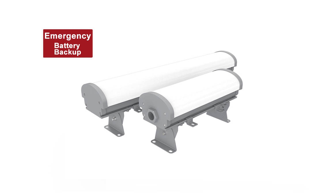 1ft 2ft Explosion Proof Emergency Light - IECEx ATEX - 1.5 Hours Battery Backup