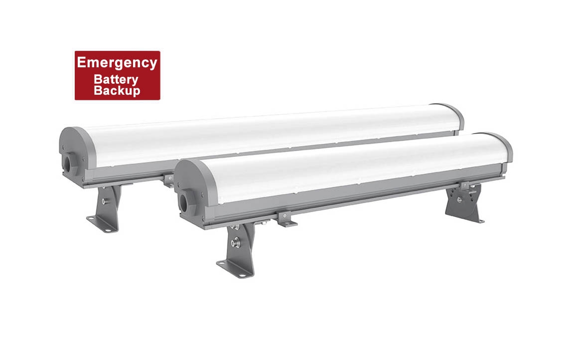 3ft 4ft Explosion Proof Emergency Light - IECEx ATEX - 1.5 Hours Battery Backup
