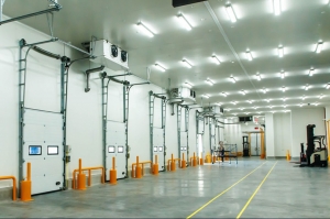 petrochemical enterprises Lighting solutions